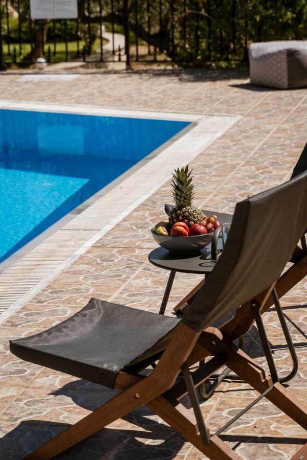 Lefkothea Villas With Large Pool, Bbq & Playground Adelianos Kampos Exteriér fotografie